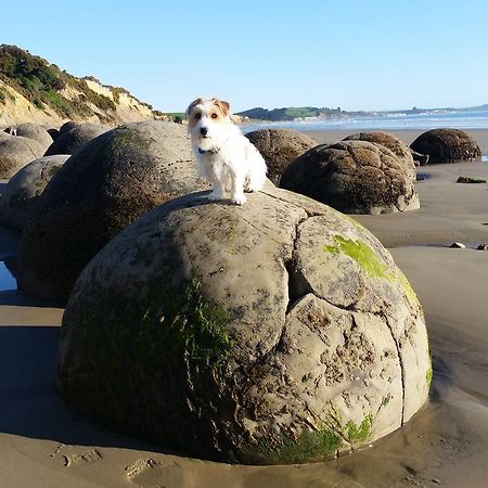Moeraki Boulders Motel Hampden Bagian luar foto