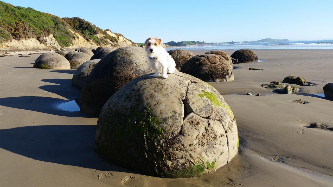 Moeraki Boulders Motel Hampden Bagian luar foto